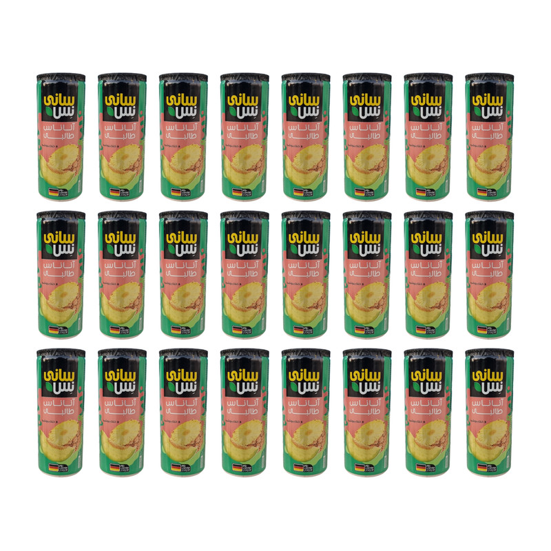 آبمیوه آناناس طالبی سانی نس - 240 میلی لیتر بسته 24 عددی