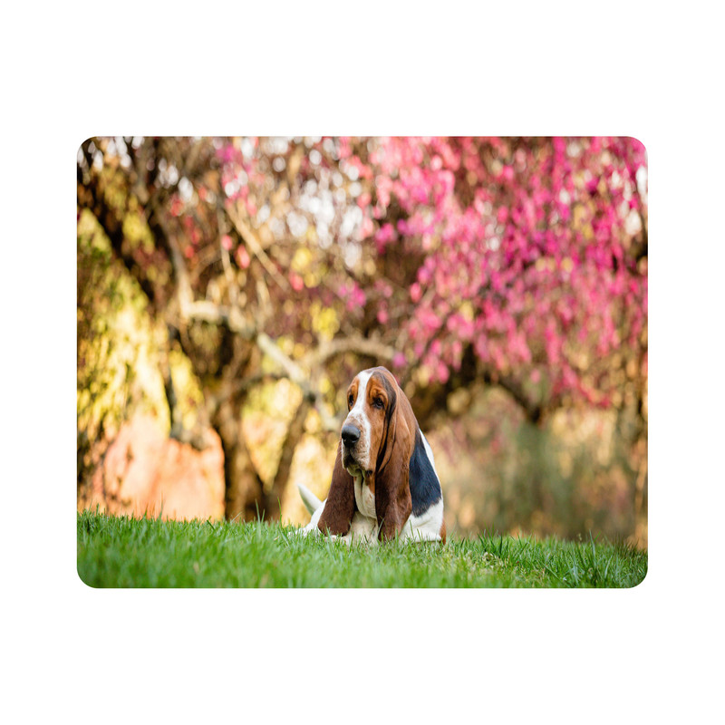 ماوس پد طرح سگ و طبیعت مدل T8054