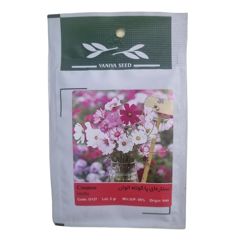 خرید و قیمت بذر گل ستاره ای پاکوتاه الوان وانیا سید مدل BA1470