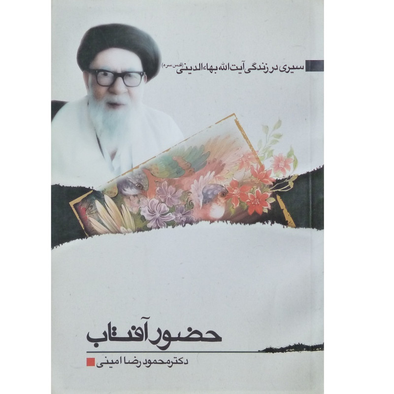 خرید و قیمت کتاب حضور آفتاب سیری در زندگی آیت الله بهاءالدینی اثر دکتر محمود رضا امینی انتشارات مهر