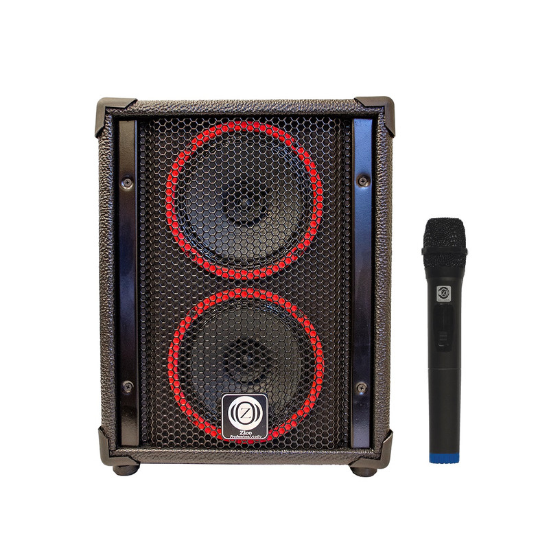 اكو همراه زیکو مدل 440 به همراه میکروفون