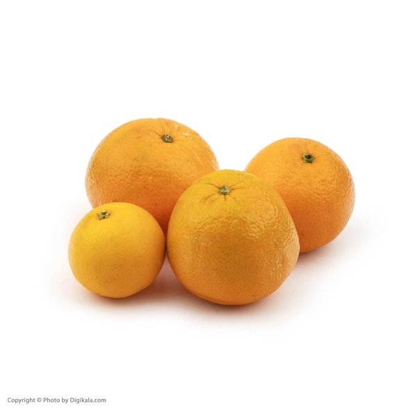 پرتقال تامسون شمال Fresh وزن 1 کیلوگرم 11