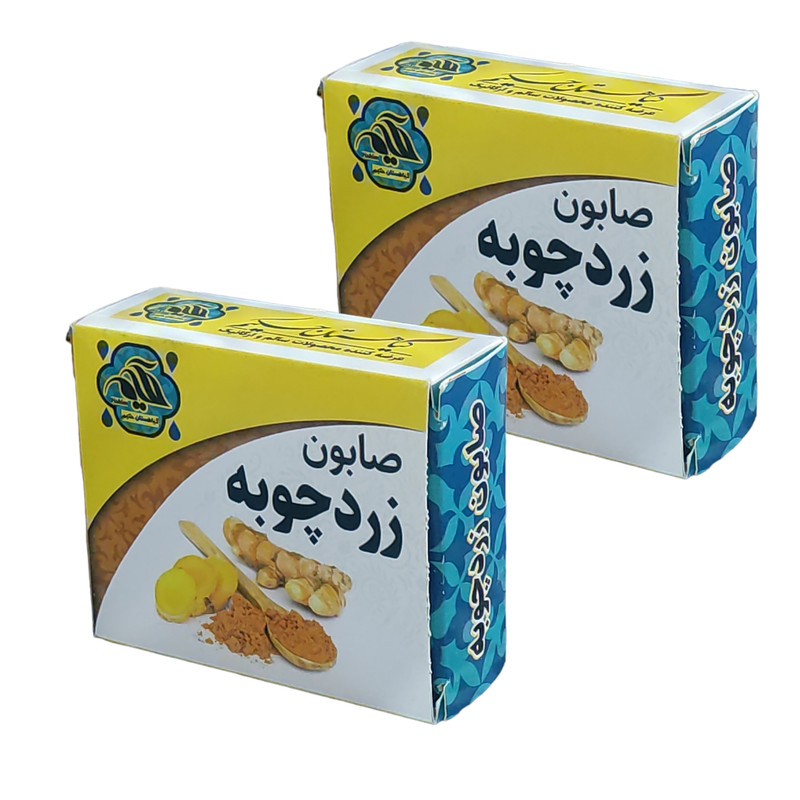 صابون شستشو گیاهستان حکیم مدل زردچوبه وزن 70 گرم بسته دو عددی