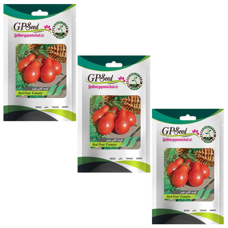 بذر گوجه گلابی قرمز گلبرگ پامچال کد GPF-319 مجموعه 3 عددی