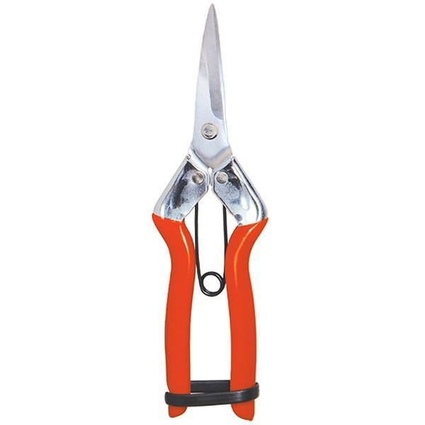 خرید و قیمت قیچی میوه چینی بهکو مدل BEH-TAIWAN-1812