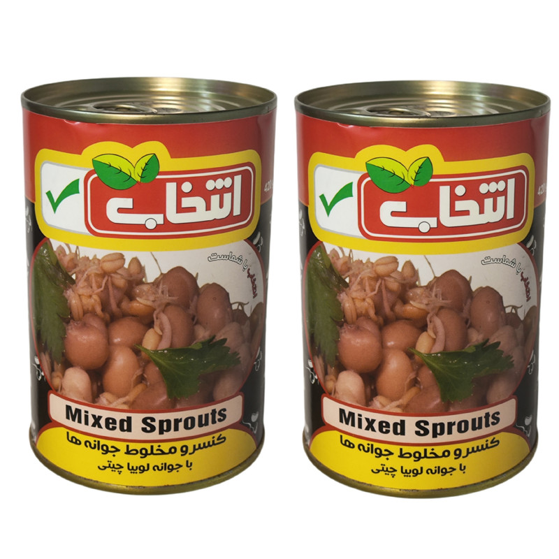 کنسرو جوانه ها با جوانه لوبیا چیتی انتخاب - 420 گرم بسته 2 عددی