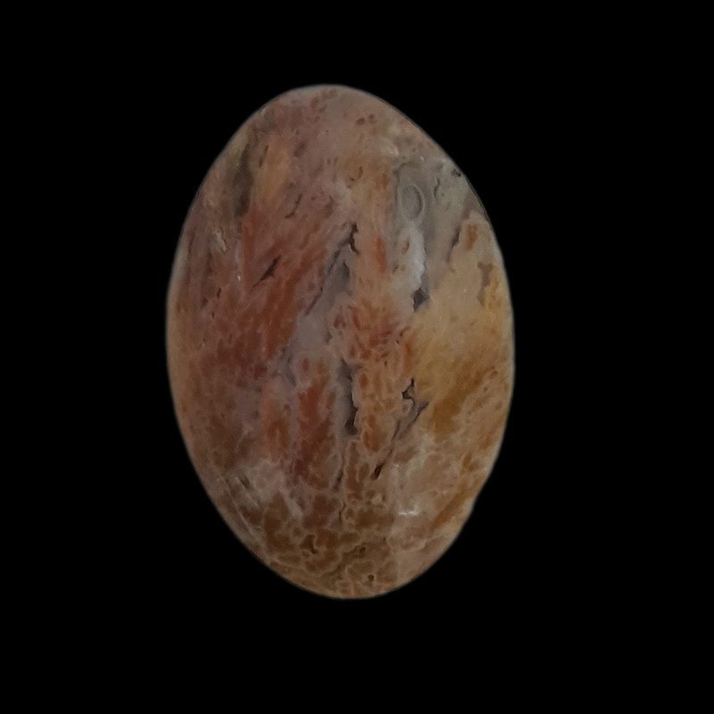 سنگ عقیق شجر مدل دریایی