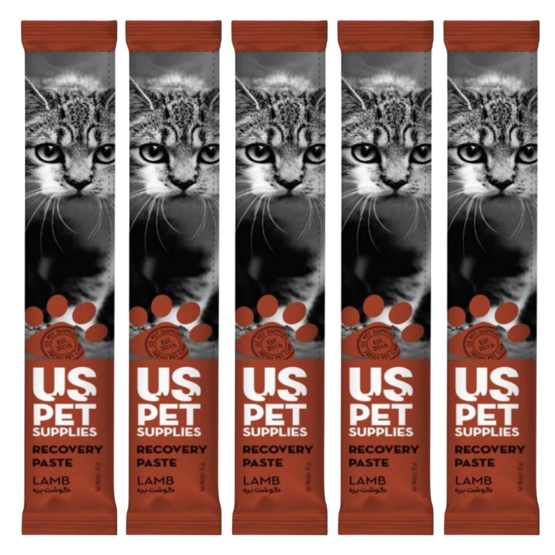 بستنی گربه یو اس پت مدل ریکاوری طعم گوشت بره وزن 20 گرم مجموعه 5 عددی
