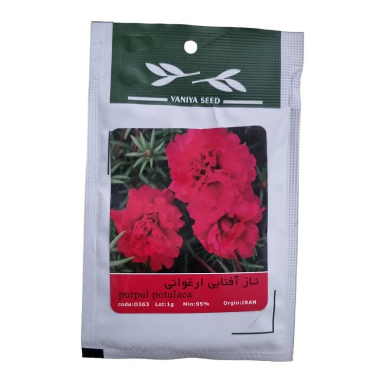بذر گل ناز آفتابی ارغوانی وانیا سید مدل BA13572
