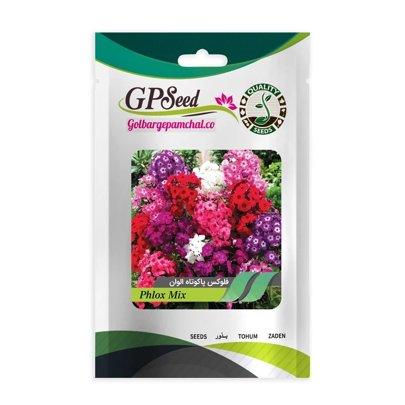 بذر گل فلوکس پا کوتاه الوان جی پی سید مدل GP16697