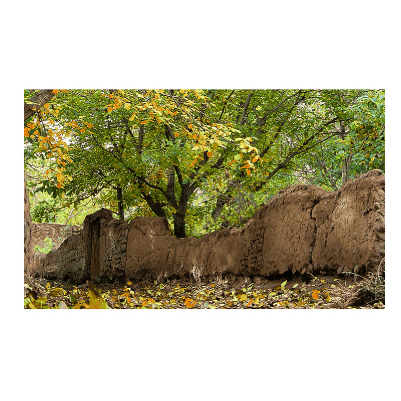 خرید و قیمت نخ و نقشه تابلوفرش طرح منظره 2396