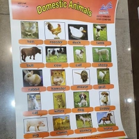 پوستر آموزشی زبان انگلیسی حیوانات اهلی Domestic Animals 
