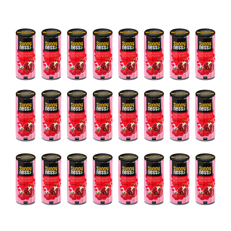 آبمیوه مخلوط انار و تمشک همراه با تکه های میوه سانی نس - 240 میلی لیتر بسته 24 عددی