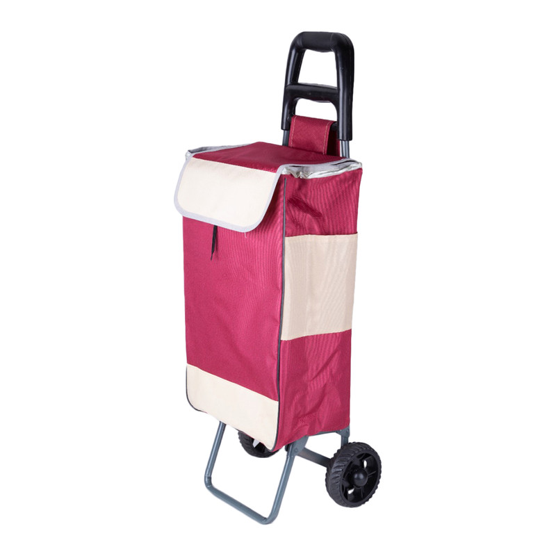 خرید و قیمت چرخ خرید آلوتکس مدل آسایش