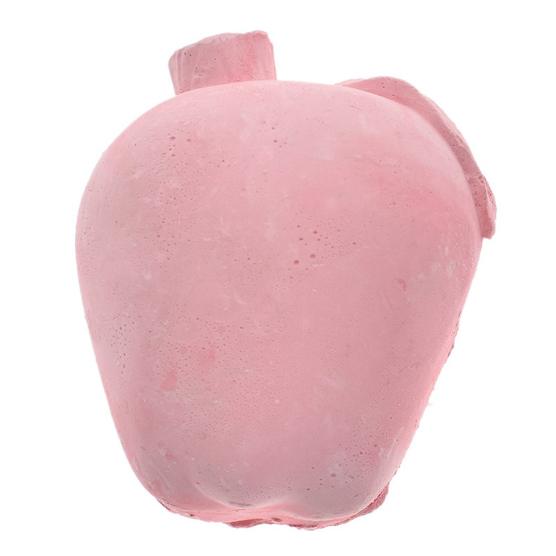 خرید و قیمت سنگ معدنی جوندگان کد NA-045