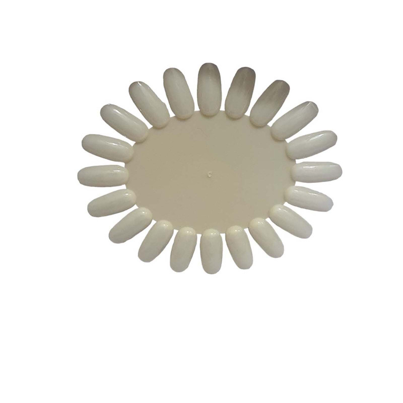 پالت طراحی ناخن مدل گرد کد MMM___21