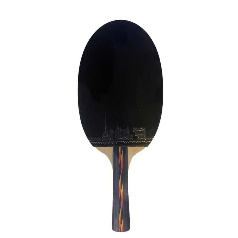 خرید و قیمت راکت پینگ پنگ دی اچ اس مدل 4002