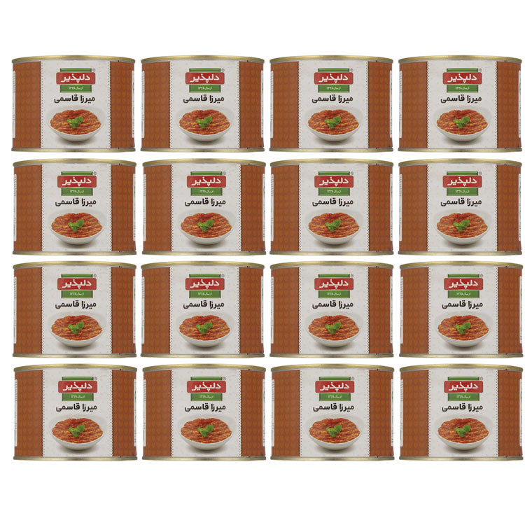 کنسرو میرزا قاسمی دلپذیر - 482 گرم مجموعه 12 عددی