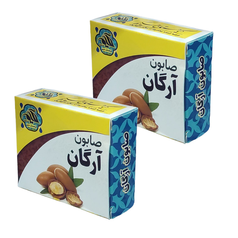 صابون شستشو گیاهستان حکیم مدل آرگان وزن 70 گرم بسته 2 عددی