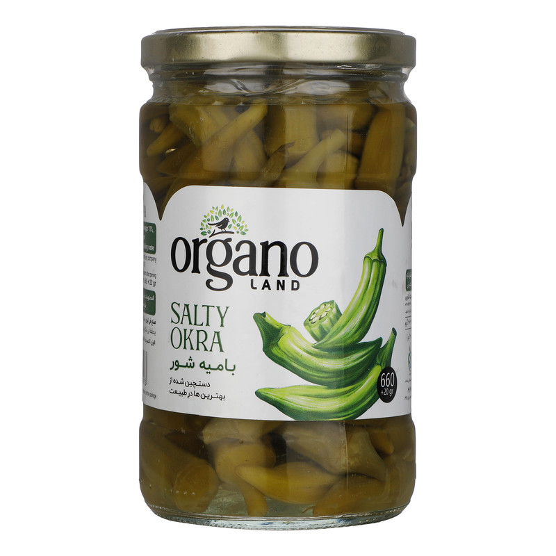 خرید و قیمت بامیه شور ارگانو لند - 660 گرم