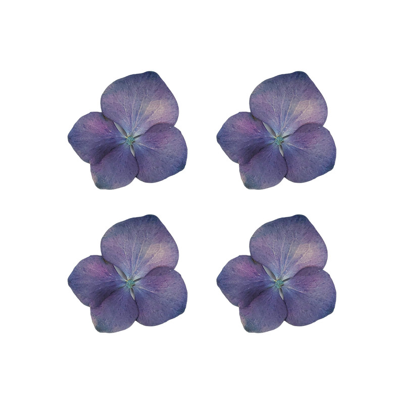 گل خشک رزین اپوکسی مدل هورتانسیا بسته 4 عددی