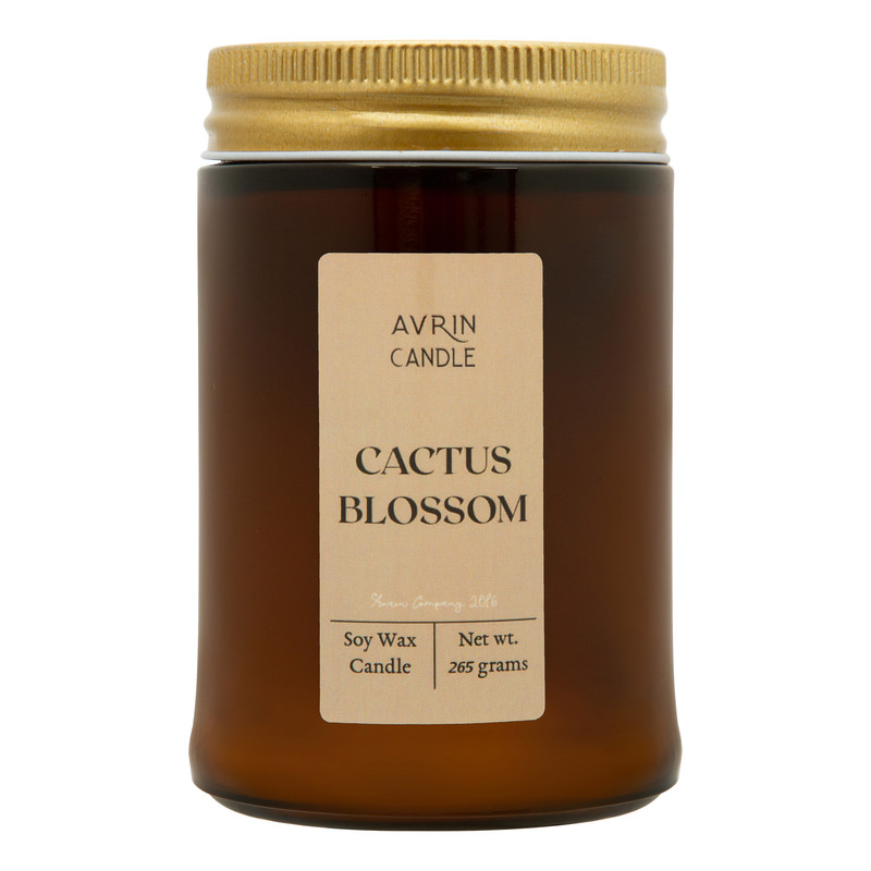 خرید و قیمت شمع معطر اورین مدل لیان کاکتوس بلوسام