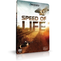 مستند سرعت زندگی SPEED OF LIFE