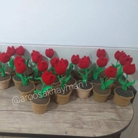 گلدان گل لاله یک محصول جذاب قابل بافت در رنگ های مختلف قد حدود