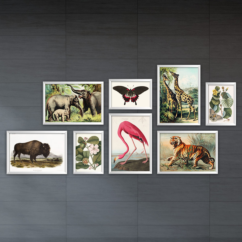 تابلو پلاتین کد P006-Nature مجموعه 8 عددی
