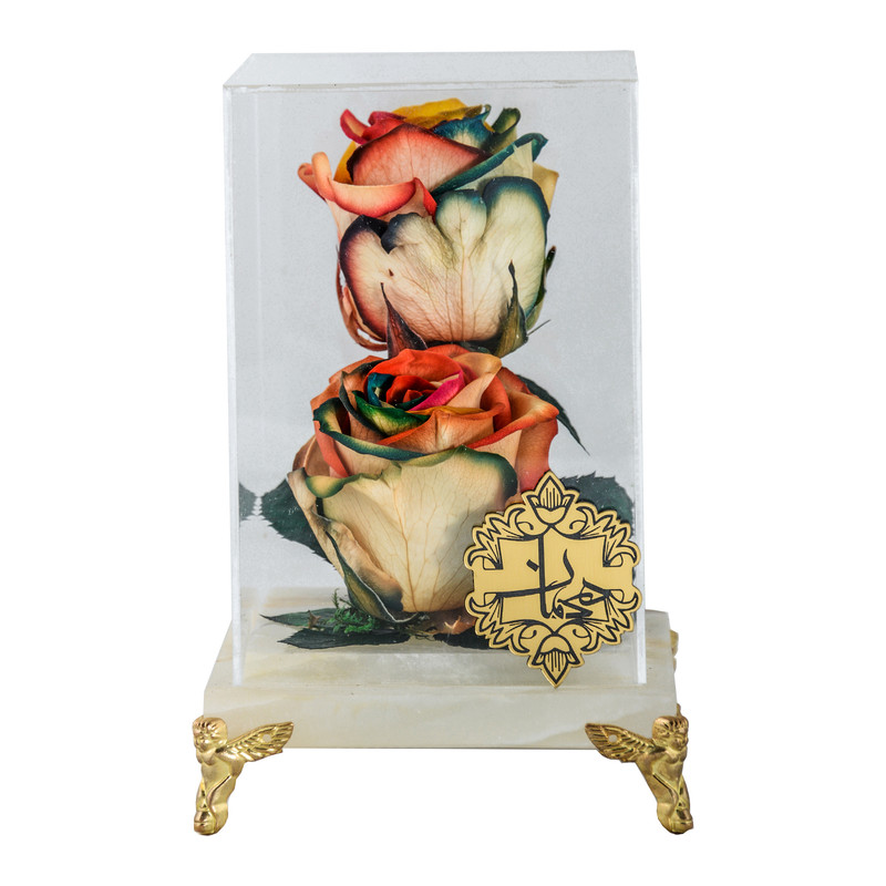 گل رز جاودان هیمان مدل 1092