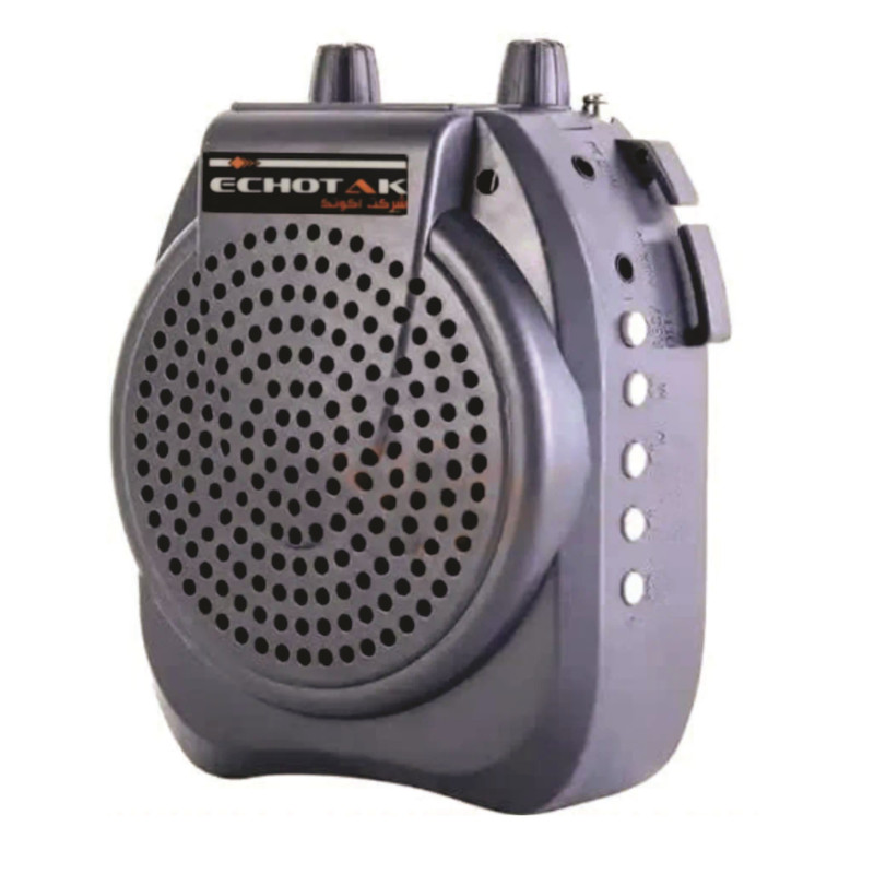 اکو آمپلی فایر اکو تک مدل AP-180