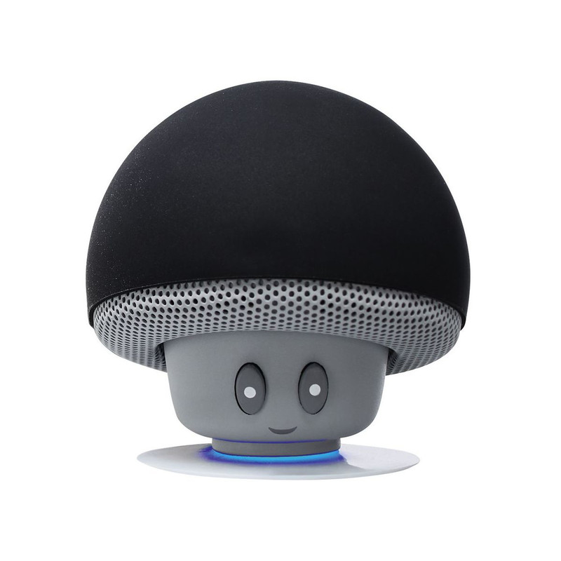 اسپیکر بلوتوثی سیلور کرست مدل SBPL