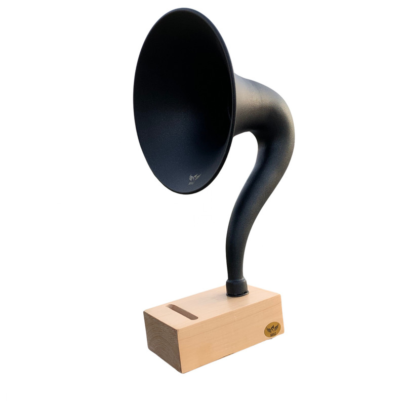 خرید و قیمت گرامافون آراز مدلRe_31