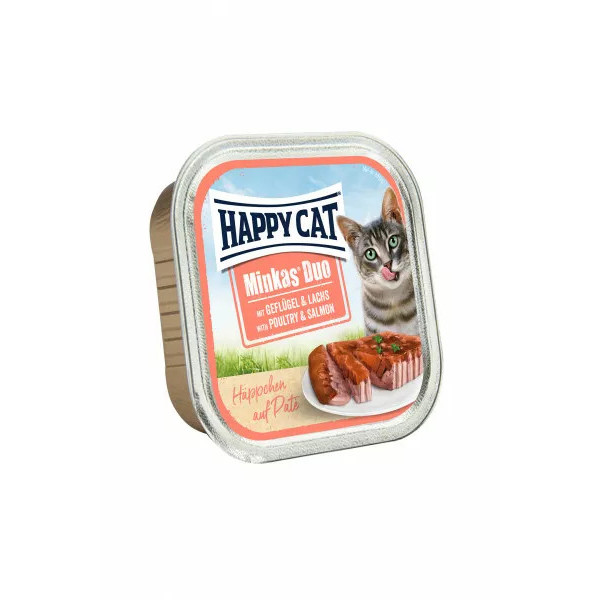 کنسرو گربه هپی کت مدل سالمون وزن 100 گرم