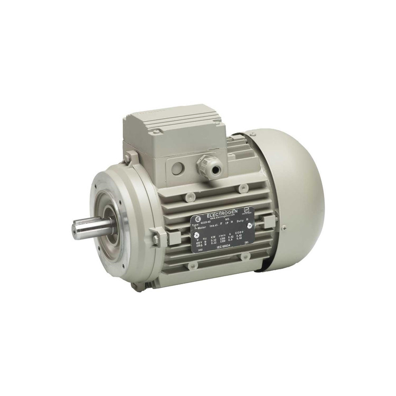 الکتروموتور صنعتی 0.18 کیلووات 3000 دور الکتروژن مدل 14 63