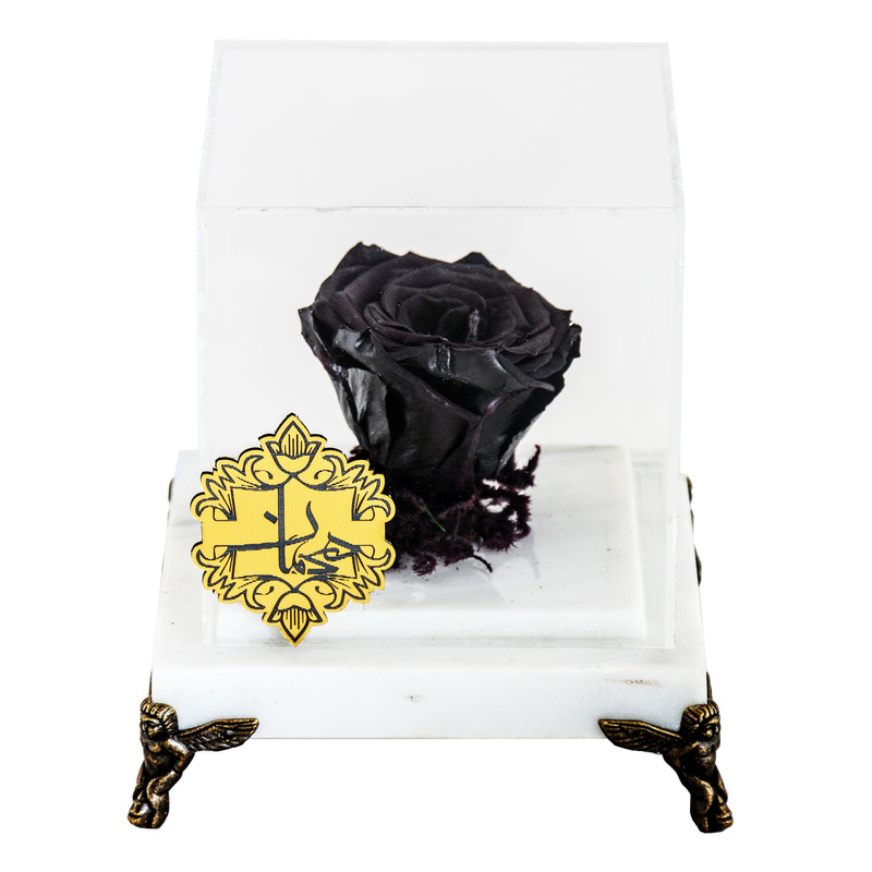 خرید و قیمت گل رز جاودان هیمان مدل سیاه 1095