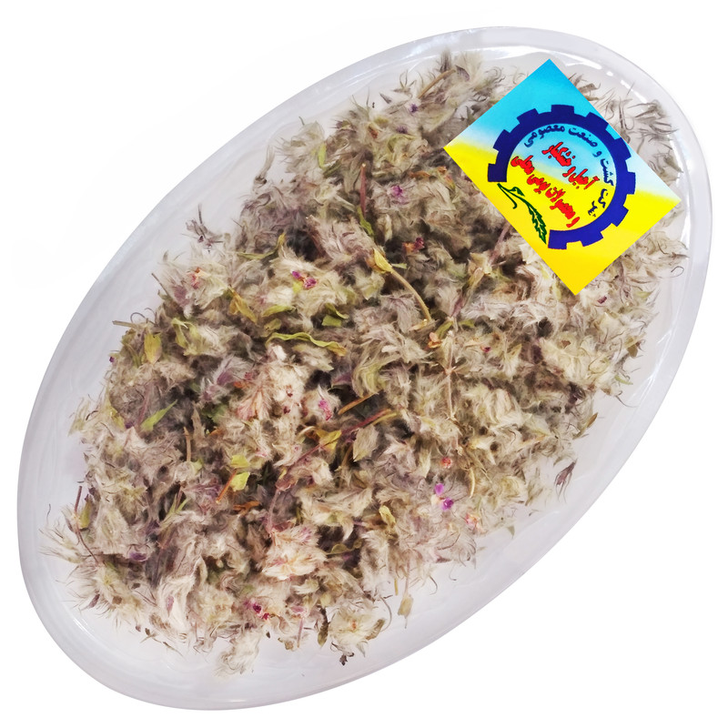 چای کوهی شرکت کشت و صنعت معصومی - 100 گرم