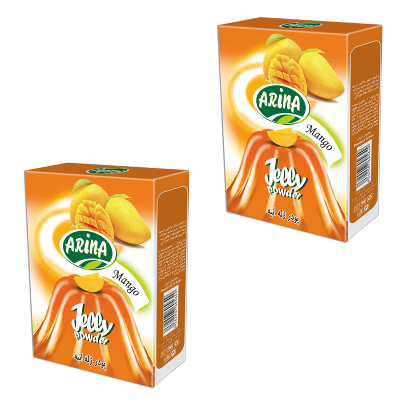 پودر ژله انبه آرینا - 100 گرم بسته 2 عددی