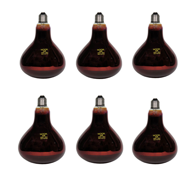 لامپ مادون قرمز 250 وات لامپ نور مدل PRO پایه E27 بسته 6 عددی