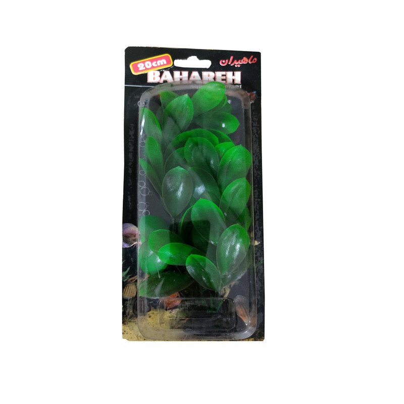 گیاه تزیینی آکواریوم مدل برگ سیبی بهاره