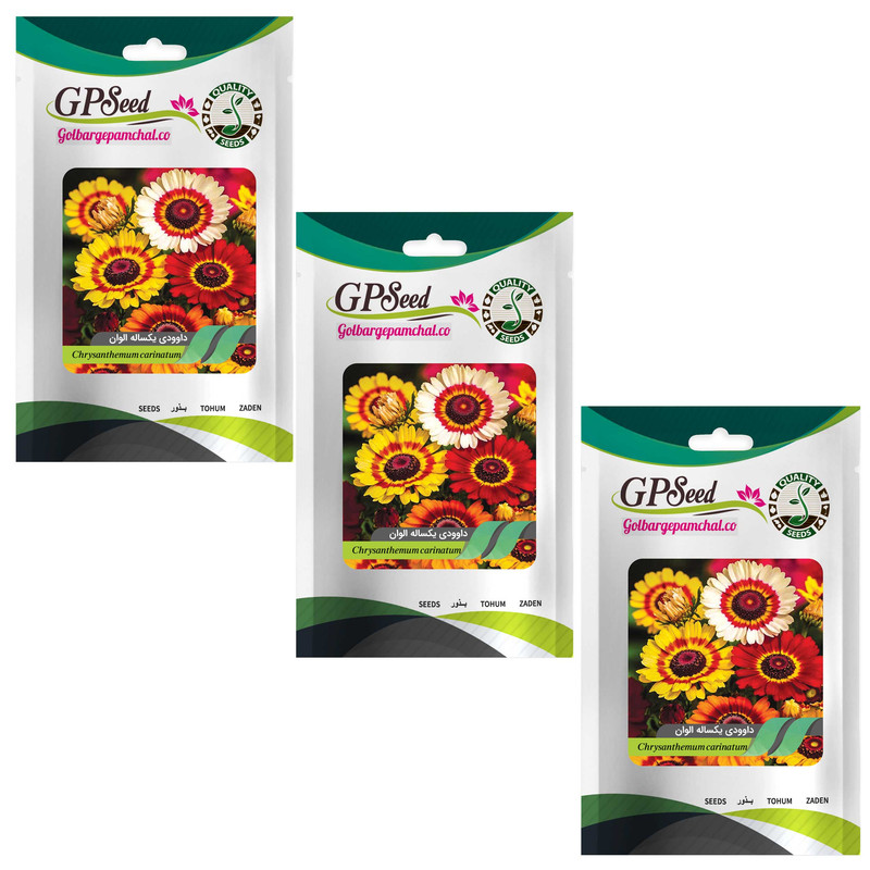 بذر گل داوودی یکساله الوان گلبرگ پامچال کد GPF-050 مجموعه 3 عددی