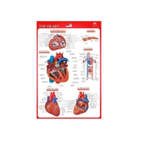 پوستر آموزشی مدل قلب 
