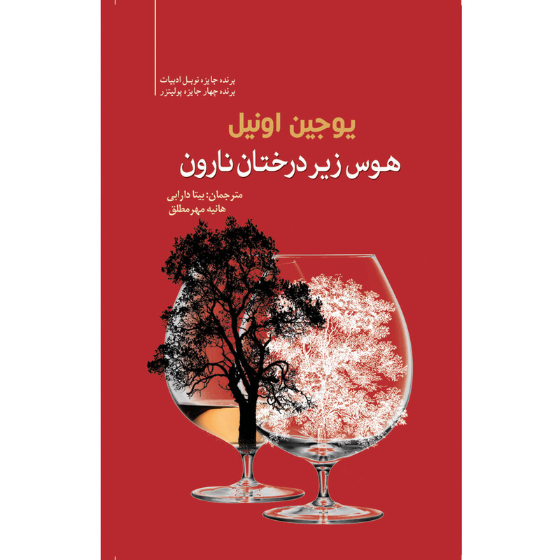 خرید و قیمت کتاب هوس زیر درختان نارون اثر یوجین اونیل انتشارات سبزان