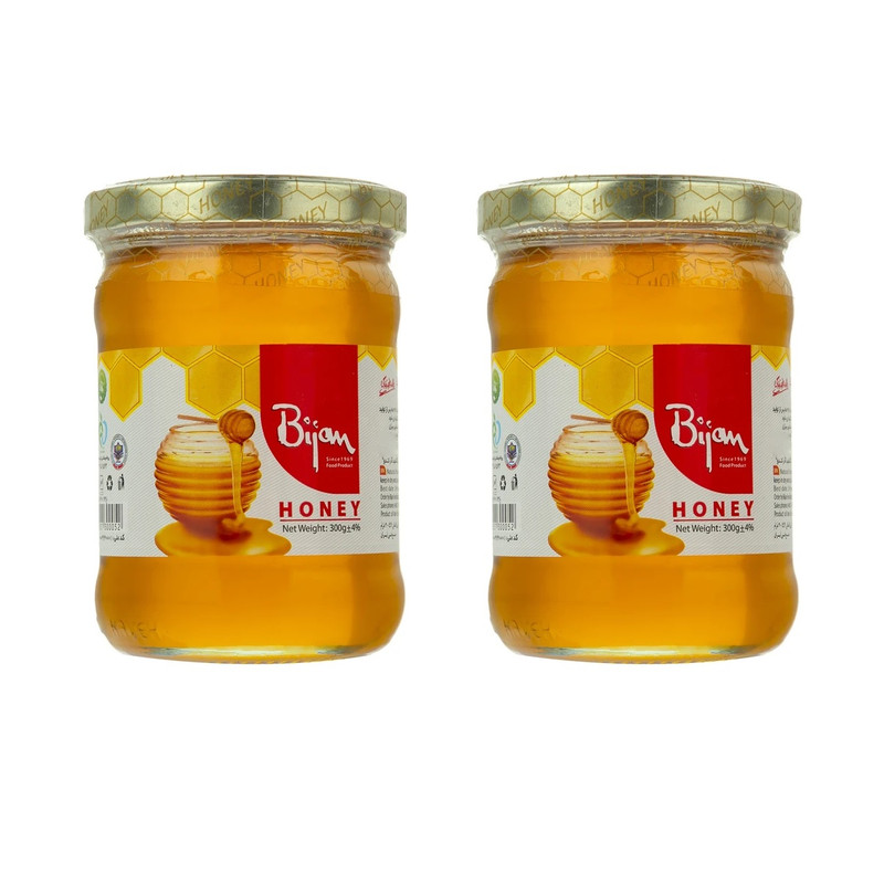 خرید و قیمت عسل بیژن - 300 گرم مجموعه 2 عددی