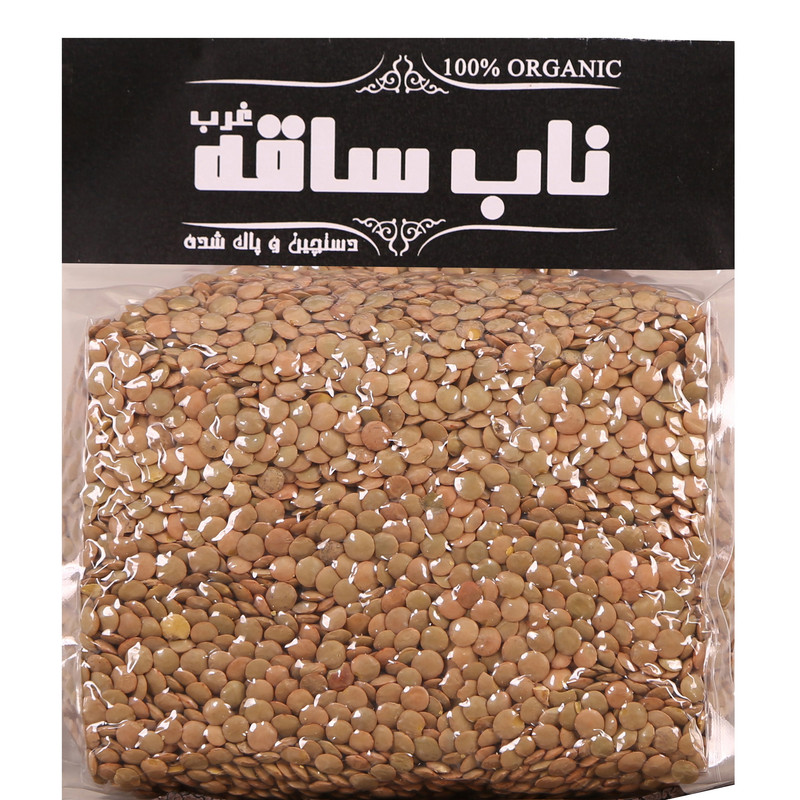 عدس ناب ساقه غرب - 1 کیلو گرم