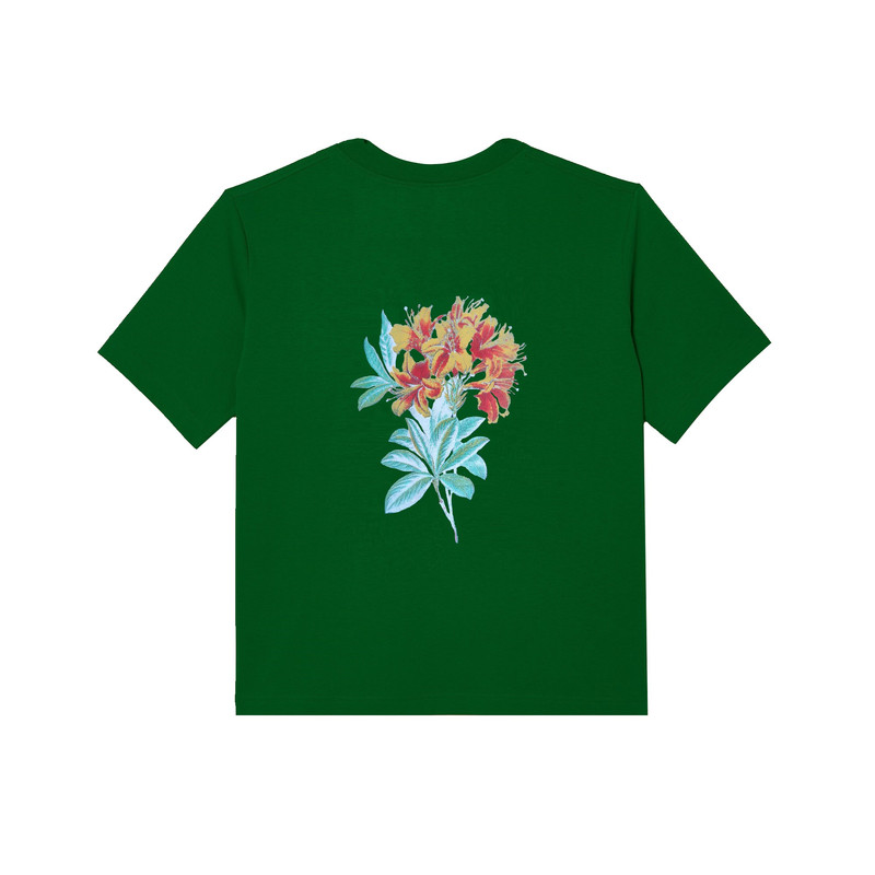 تی شرت آستین کوتاه مردانه مانگو مدل پشت چاپ نخ پنبه اعلاء کد Amore3