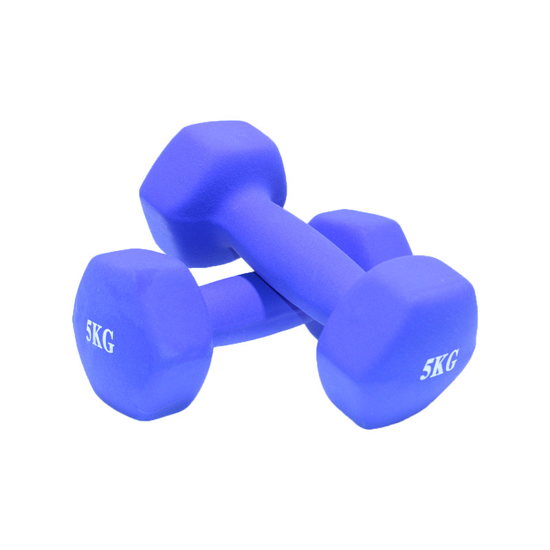 دمبل ایروبیک روکشدار هنگدا مدل پنج کیلوگرمی بسته 2 عددی