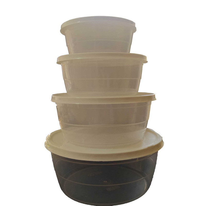 ظرف نگهدارنده دلسا مدل D4 مجموعه4عددی