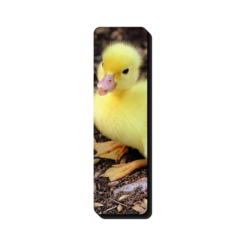 نشانگر کتاب مدل حیوانات طرح اردک کوچولو کد 2