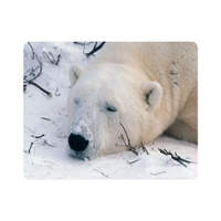 ماوس پد اطلس آبی طرح خرس خوابیده مدل T2039